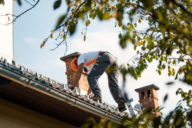 Best Commercial Roofing Services  in Rainier, OR