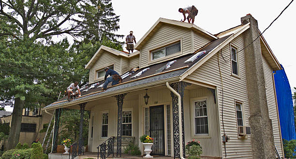 Best Metal Roofing Contractor  in Rainier, OR