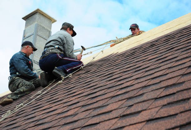 Best New Roof Installation  in Rainier, OR